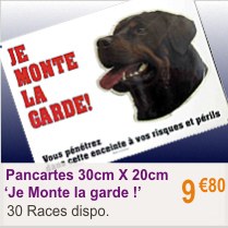 chien_plaque